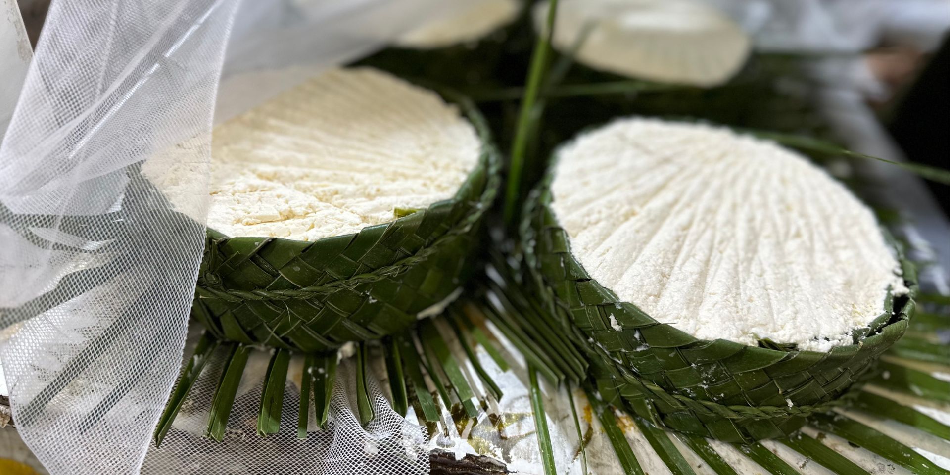 Fresh cheese rounds wrapped in leaves on a Tangier food tour.
